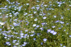 DSC03007