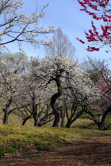DSCF0791