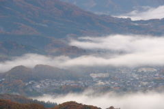 DSCF3116