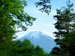 DSCF0161