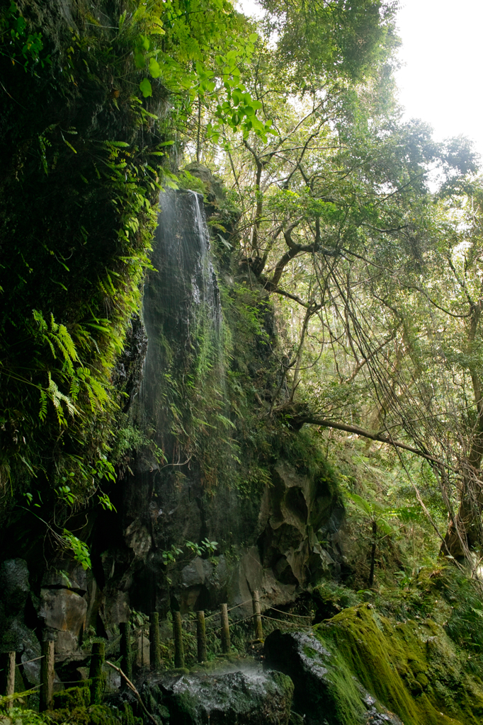 八丈島