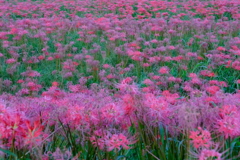 DSCF1783