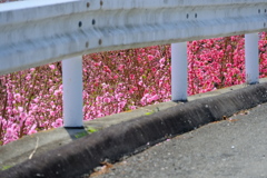 DSCF9002