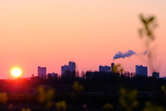 DSCF4184