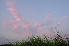 DSCF0918