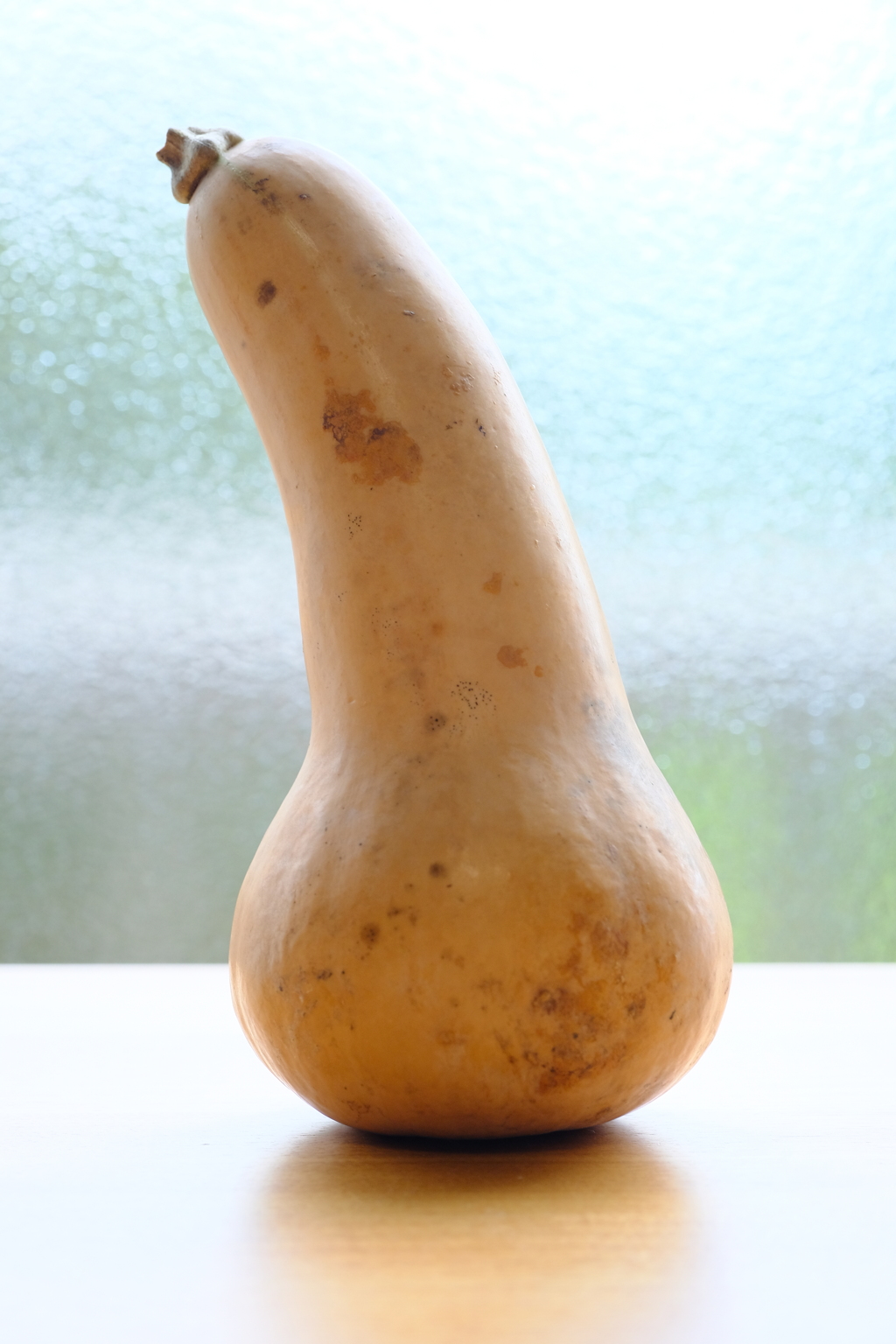 DSCF1306