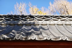 DSC00052