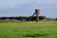 DSCF9231