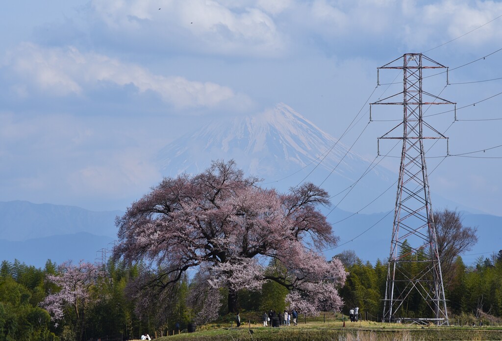 遥か彼方　富士を従え