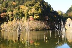 御嶽自然湖　初秋