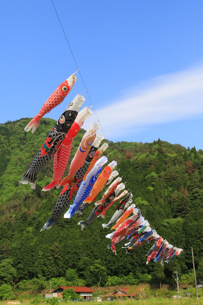 懐かしい5月の風