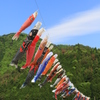 懐かしい5月の風