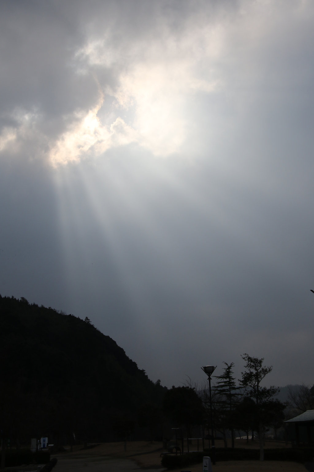 光のシャワー　その５