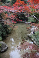 紅葉谷２
