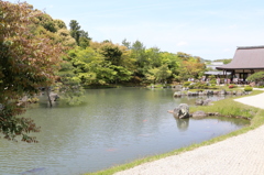 京都嵐山 天龍寺の庭園１