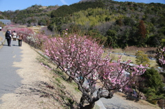 冠山 梅園2