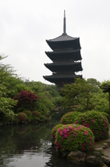 京都 東寺の五重の塔