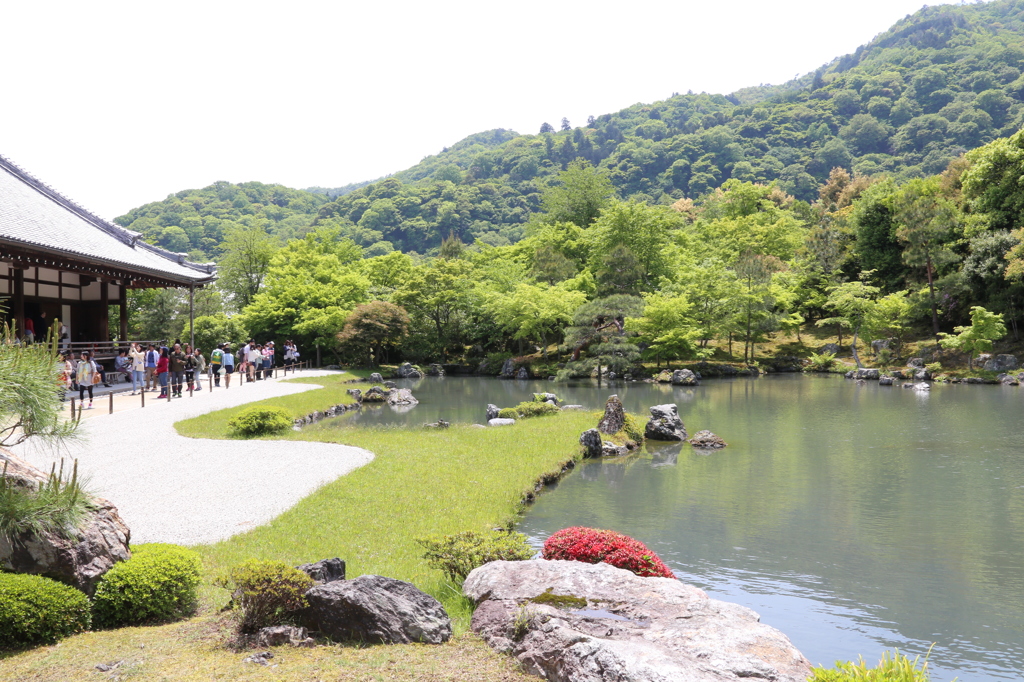 京都嵐山 天龍寺の庭園２