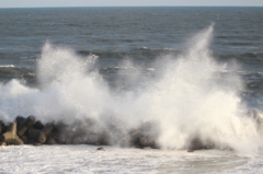 wave06
