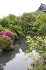 京都 東寺の庭園