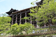 清水の舞台を下から