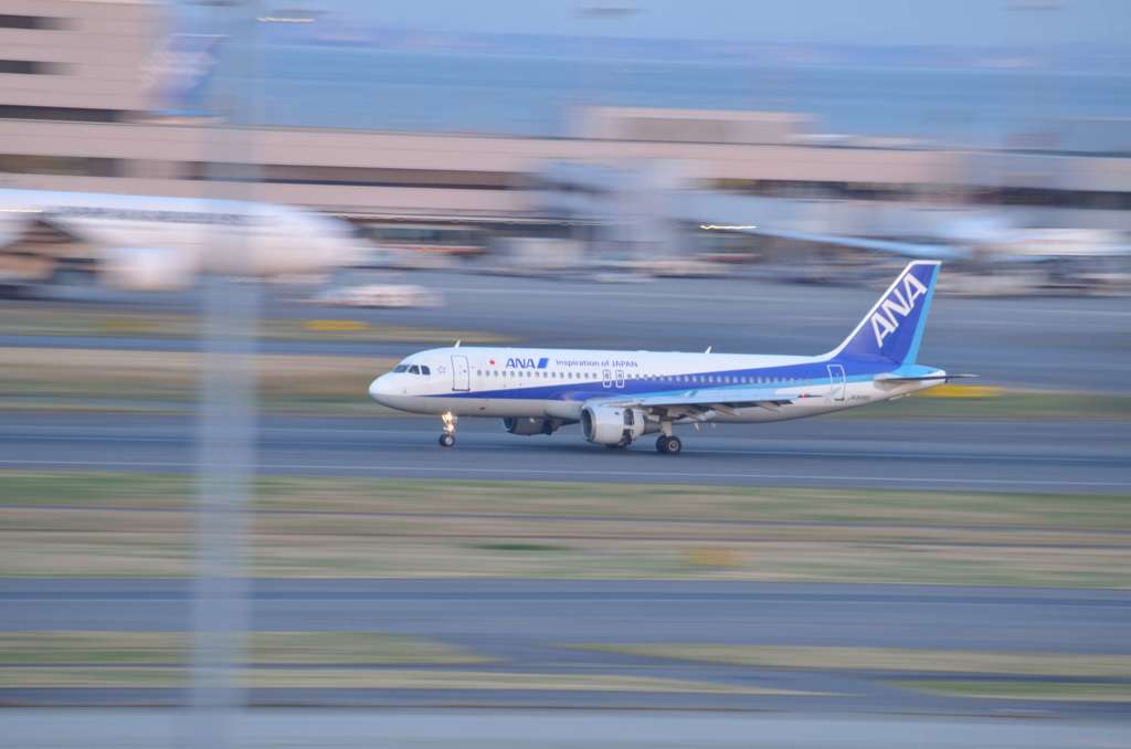 飛行機