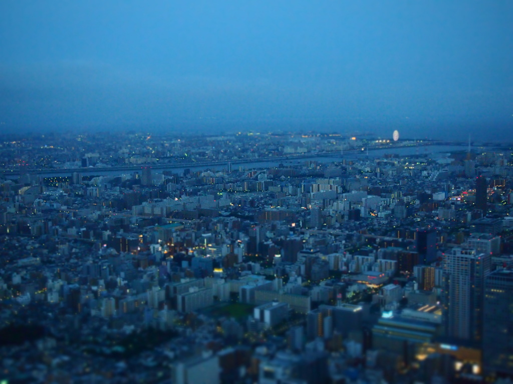 from Tokyo SKY TREE_1