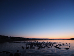 夕闇の水辺。