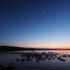 夕闇の水辺。