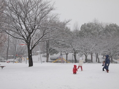 大雪の日に。