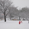 大雪の日に。