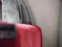 乗車券は？