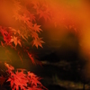 御用邸の紅葉　１．