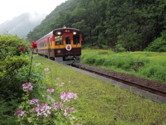 雨降りの原向。