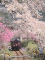 神戸駅1。