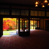 御用邸の紅葉　４．