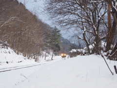 雪の林道。