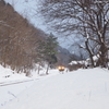 雪の林道。
