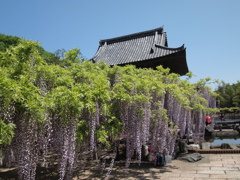 長泉寺。