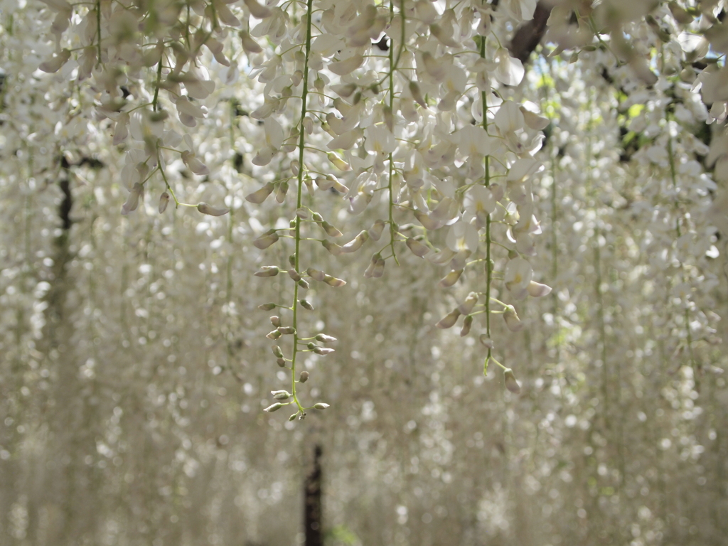 長泉寺２。