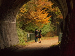 トンネルからの風景。