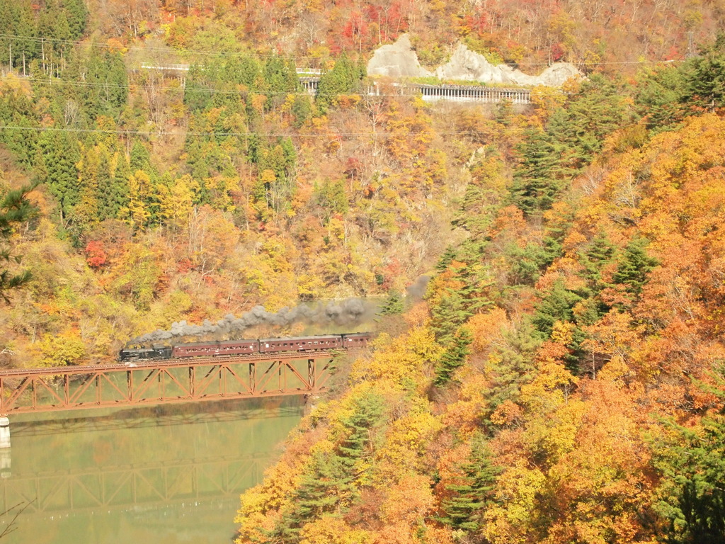 紅葉号が行く。