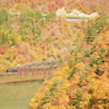 紅葉号が行く。