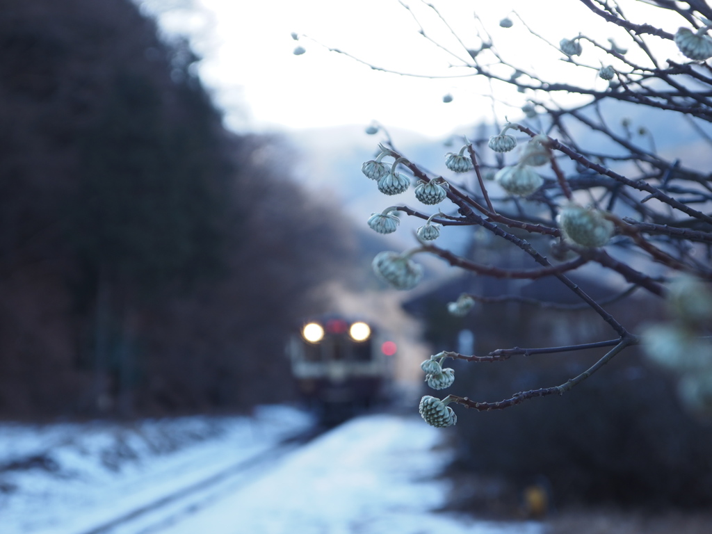 雪の駅。