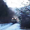 雪の駅。