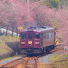 花桃の駅