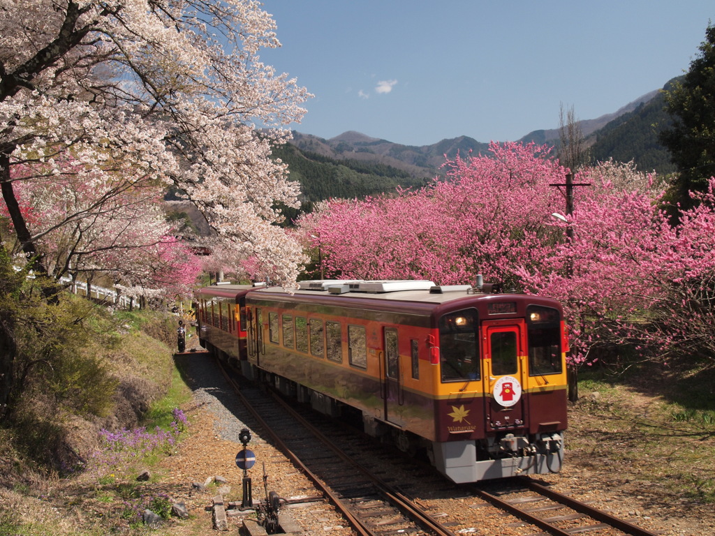 神戸駅2。