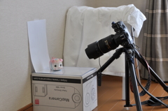 こんな感じの練習風景