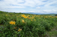 霧が峰