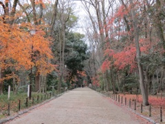 下鴨神社
